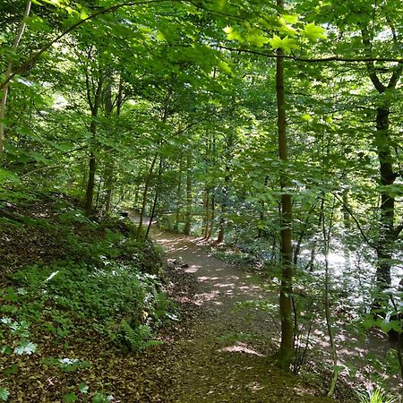 Pension Villa Pangea Bad Lauterberg Eksteriør bilde