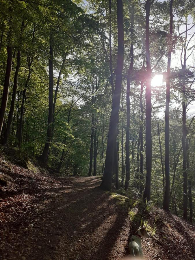 Pension Villa Pangea Bad Lauterberg Eksteriør bilde