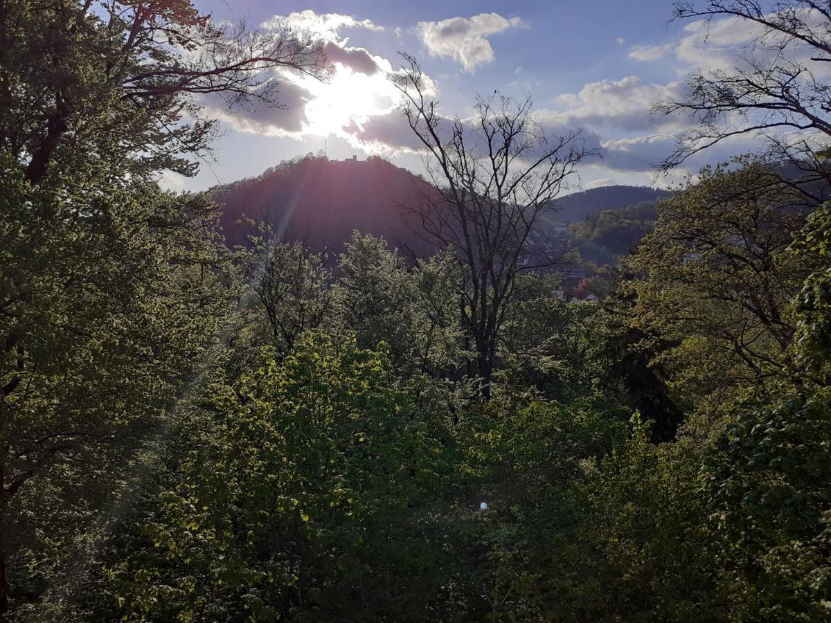 Pension Villa Pangea Bad Lauterberg Eksteriør bilde