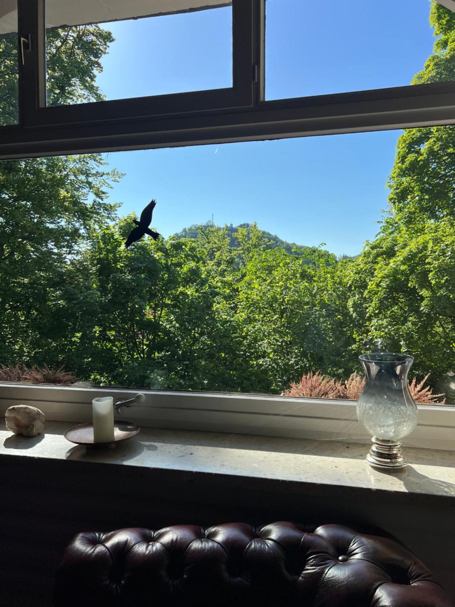 Pension Villa Pangea Bad Lauterberg Eksteriør bilde