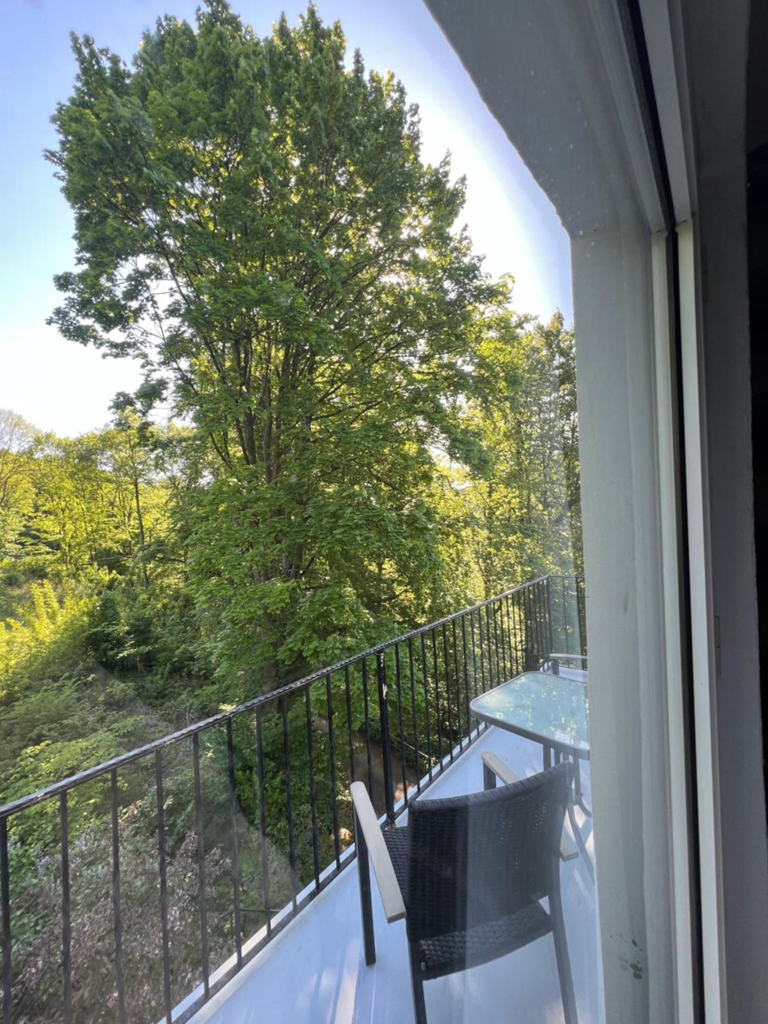 Pension Villa Pangea Bad Lauterberg Eksteriør bilde