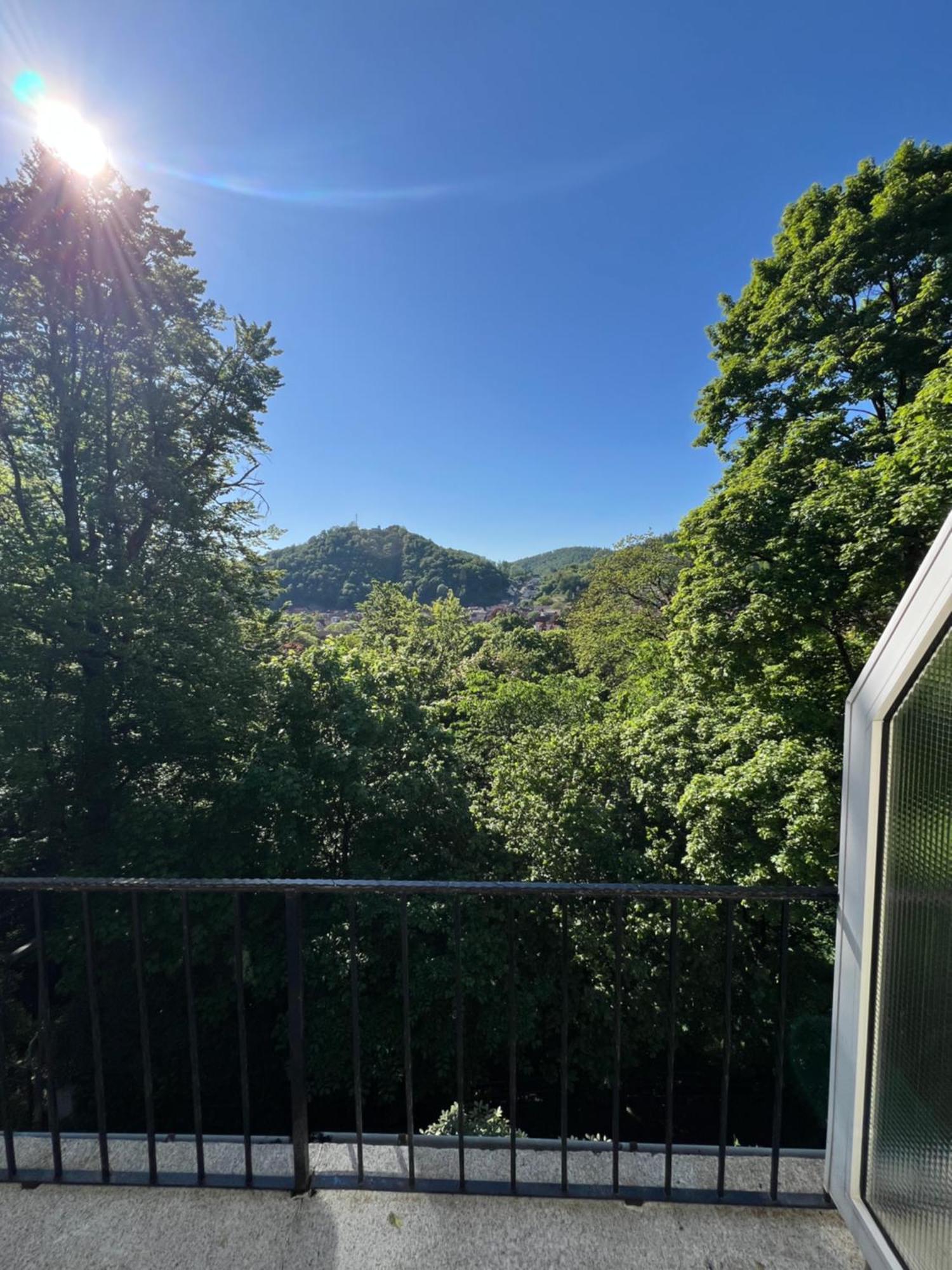 Pension Villa Pangea Bad Lauterberg Eksteriør bilde